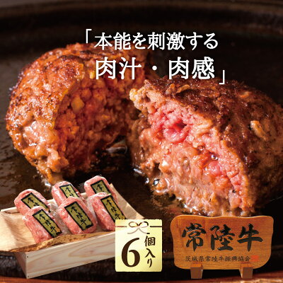 バレンタイン 2021 【木箱】 常陸牛 ハンバーグ 【100g×6個】【送料無料】 ギフト 冷凍 お取り寄せグルメ 高級 食品 グルメ 食べ物