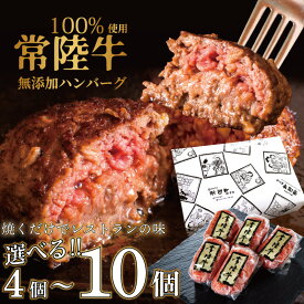 残暑見舞い ギフト お肉 誕生日 無添加 食べ物 ハンバーグ グルメ 楽天1位 内祝い お返し 常陸牛 結婚 5000円 冷凍 敬老の日 送料無料 食品