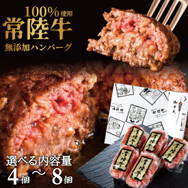 お中元 夏ギフト 御中元 誕生日プレゼント 食べ物 無添加 ハンバーグ グルメ 暑中見舞い 残暑見舞い 敬老の日 2025 楽天1位 お肉 内祝い お返し 常陸牛 結婚 4000円 5000円