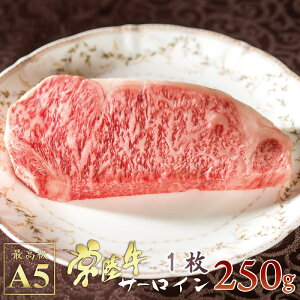 T[C Xe[L 헤 A5N 250g p  Ⓚ av[g j Hו  Hi Mtgɂ l炵 y
