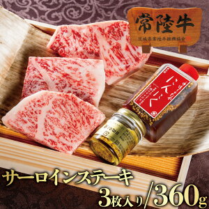 Xe[L  Mtg v[g 2025 헤 T[C 120g 2 葢^ }X^[ht av[g hV̓ c Ε Hו 10000~ j oYj Ԃ Ⓚ  