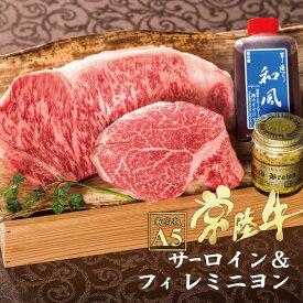 母の日 肉 ステーキ プレゼント A5 食べ比べ ギフト 内祝い お返し 出産 お肉 高級 常陸牛 A5 サーロイン フィレミニヨン 各1枚入り 和牛 ヒレ ヒレ肉 結婚 父 誕生日プレゼント 食べ物