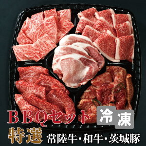 ēZbg BBQ CCW} o[xL[ Zbg M[ 5 v850g 3`4lO 헤 o a t Y {  Hה p[eB p l炵 
