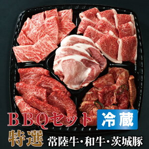 ē Zbg BBQ CCW} o[xL[Zbg I 3`4lO 830g 荇킹 Hה 헤 Jr at ؃[X  p[eB p l炵