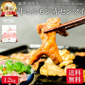 国産 牛ホルモン 焼肉 もつ鍋 アカセン 1.2kg ホルモン ギアラ ギャラ 赤 センマイ ホルモン焼き ホルモン鍋 肉屋 お肉 肉 ギフト プレゼント おうち 焼き肉 用 小分け メガ盛り 送料無料 牛 高級 食べ物 食品 冷凍 誕生日 内祝い お返し お礼 父の日 御中元 お中元 2024