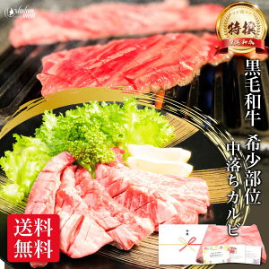  ē јa  Jr 400g  Q^Jr   Ă o[xL[  Mtg j Ԃ  5000~  v[g  a a Y BBQ ē 