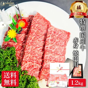 yɁz Y Ԑg ē p 1.2kg   hV̓ Mtg v[g BBQ  Ă p ޗ    Ԑg   Y Hו Hi  Ⓚ a j 