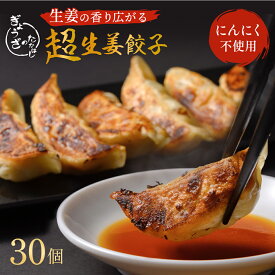 超生姜 餃子 30個 ( 15個 × 2パック ) 餃子 本格餃子 野菜餃子 生冷凍 餃子のたかはし キャベツ 生姜 ニラ 生姜 国産生姜 高知県産 100％ 使用 にんにく不使用 大容量 おかず ビール 食品 惣菜 ギフト