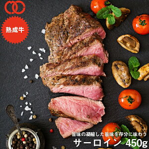 アメリカ産 熟成 サーロイン ステーキ (450g)【 熟成牛 牛肉 BBQ ステーキ肉 赤身 】 アウトレット 処分 サンプル 仕送り お弁当 子供 時短ごはん 単身赴任 食事 食べ物 業務用 おかず 家庭用 ギ