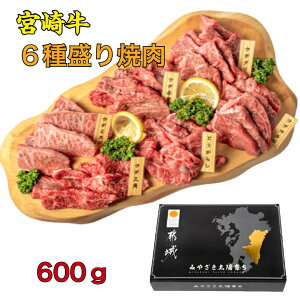 {苍6퐷ē Jr Zbg Mtg Hה ēp Ⓚ 2`3lO 600g a Ԑg