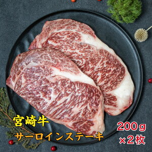 {苍T[CXe[L Zbg Mtg Ⓚ 2lO 400g a  蕨 fBi[ ґ uh