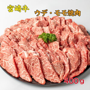 {苍Efē Jr Zbg Mtg ݂Ȃ  Ⓚ 2`3lO 400g a Ԑg