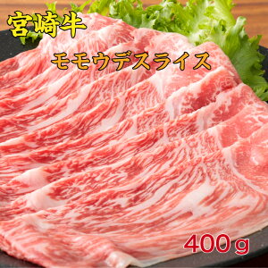 {苍EfXCX ₫ Zbg Mtg Ԃ  Ⓚ 2`3lO 400g a Ԑg