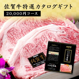 ꋍIJ^OMtg 20,000~R[X ꋍ  јa Mtg Mtg Mtg J^OMtg  J^O  j  v[g  蕨 Mtg hV̓ 