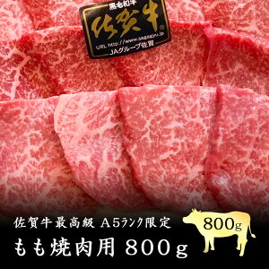 ꋍ ō A5`A4N ēp800g (400g×2pbN) I Y a јa I XCX     ē BBQ o[xL[  Mtg Mtg hV̓ 