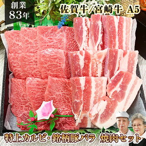 _20PҌ^ O Zbg y a Jr  ēZbg 600g {苍 ꋍ A5  z Mtg ꖜ~ O Zbg hV̓ v[g Zbg јa  ē Ă p 