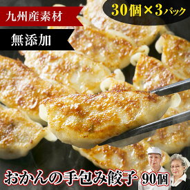 九州産 手作り 無添加 餃子 90個ホワイトデー ひな祭り お中元 ギョウザ ぎょうざ ギョーザ 手づくり 手包み 国産 銘柄豚 はいからポーク 惣菜 総菜 中華 食材 冷凍 冷凍食品 豚肉 御中元 九州野菜 高級ギフト バーベキュー プレゼント レトルト食品 肉 加工品