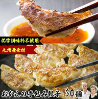 手作り ギョウザ 【 無添加 おかんの 餃子 30個 全部九州産】母の日 ギフト 国産 ぎょうざ 健康 食べ物 …