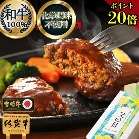 ＼P20倍／ ギフト ハンバーグ 国産【 無添加 糖質オフ 和牛ハンバーグ 箔 6個 】 お中元 ギフト 健康 食品 糖質オフ 写真付き お祝い グルメ 糖質制限 ダイエット グルテンフリー ギフト お祝い 1万円 プレゼント 糖質制限 惣菜 総菜 おかず