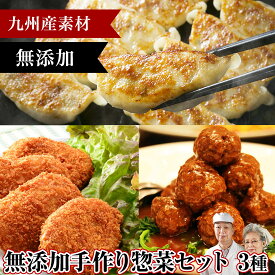 無添加 手作り惣菜セット【餃子・和牛ゴロッケ・ミンチボールたね】お中元 ホワイトデー ひな祭り 卒業祝い 合格祝い ギフト パーティ 冷凍食品 手づくり 惣菜 冷凍おかず 詰め合わせ セット お得 パーティ 高級グルメ プレゼント 肉 加工品 お土産 グルメ 御中元