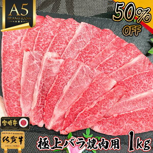 _X[p[SALEI52%OFF^ ē Mtg Jr ₫ɂy a A5N o Ăp Jr 1kg ꋍ {苍 z Ԃ Ε Mtg  lC  Mtg j lC  Mtg 