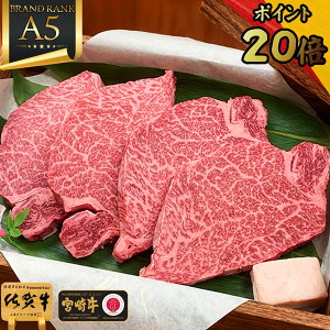 _P20{^ a q O qXe[Ly јa ō A5 Vg[uA 600g 150gx4 ꋍ {苍 z j   q w Ђ q Mtg   Ԑg Xe[L a 