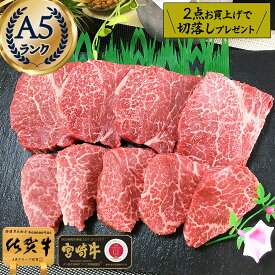 黒毛和牛 A5 ミニ ひれステーキ 400g牛肉 ヒレステーキ 訳あり 佐賀牛 宮崎牛 赤身ステーキ お祝い お歳暮 肉 ステーキ ギフト やわらか 赤身 脂身が少ない 高齢 両親 送料無料 焼くだけ 内祝い 1万円 お肉 高級 グルメ プレゼント