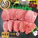＼500gに増量中／ お中元ギフト 赤身 ステーキ 【 最高級 A5 ミニ ひれステーキ 400g佐賀牛 宮崎牛 】 ステーキ A5 美味しい 50代 60代 70代 御中元 プレゼント お肉 肉 国産 和牛 グルメ 人気 高級 お祝い 赤身 脂身が少ない 内祝い お肉 松坂牛 神戸牛 近江牛