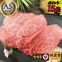 ＼P15倍／ お中元 グルメ 肉 高級 お祝い お肉 ヒレ 【 佐賀牛 宮崎牛 A5 極上 ひれステーキ 150g×4枚 600g 】父の日 誕生日 プレゼント ヒレ肉 高級肉 赤身ステーキ お肉 黒毛和牛 牛肉 牛 ステーキ肉 和牛 ギフト 松坂牛 冷凍 赤身 メッセージカード