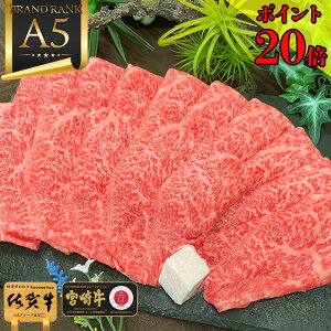 _500gɑʒ^ a ō y A5 Ă ɏ ԐgXCX 400g ꋍ {苍 z 䒆 j v[g Hו Hi lC LO ăMtg  ꖜ~ j j  