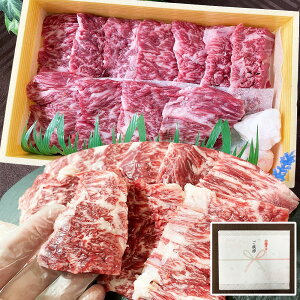 _50OFF^ z Z[   y ō A5 a ē 󏭕 n~ 400g ꋍ {苍 z͂ hV̓ O Ă 1~ @l @l ̂ l 5 A5N yV  Z[ 