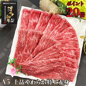 _1kgɑ呝ʁ^ Z[ Mtg  y Ăp a A4  Ԑg XCX 800g a z蕨  ăMtg c  j   ̂ A  j j L