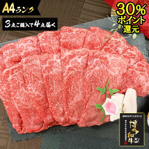 _15OFFN[|{35PҌ^ Z[ Mtg  y Ăp a A4  Ԑg XCX 800g a z蕨  ăMtg c  j   ̂ A  j