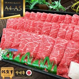 _30%PҌ{5%OFFN[|^ hV̓Mtg Ăp  a A4 ` A5N y   Ԑg XCX 800g ꋍ {苍 zԂ  j 1~ 15000~ Mtg av[g  