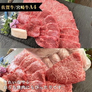 ꋍ {苍 A4 ()Jr 200g zCgf[ ꋍ ē Mtg   r ̂ A ei   p[eB 񂹃O a [X o ~  Y  Ă BBQ 