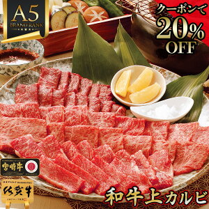 �_20%OFF�N�[�|���^ �� ���� �Ă��� ���y A4�`A5 ���ꋍ �{�苍 ��J���r 400g �z ���јa�� �J���r �Ă��� �� ���Y�a�� �o�Y ���� ���Ε� ���� ���j�� ���Ԃ� �a�����v���[���g �ē� �Ă��� �J���r 