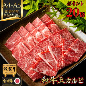 _500gɑʒ^ O hV̓Mtg  ē ē Ԑg y A4 - A5 ꋍ {苍 a  Jr 400g z 1~ȉ Z[  䌩 䒆  BBQ јa ē i 