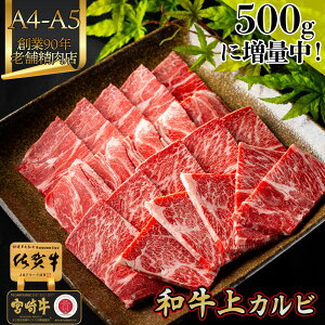 �_P10�{�{500g�ɑ��ʒ��^ ���� �ē��p ���Ε� �~�M�t�g �� �y A4 - A5 �a�� �� �J���r 400g ���ꋍ �{�苍 ���������� �z�N���N�n �N�z���O���� ���j �o�Y ���j�� ���Ԃ� ���� ������ �M�t�g �� ����