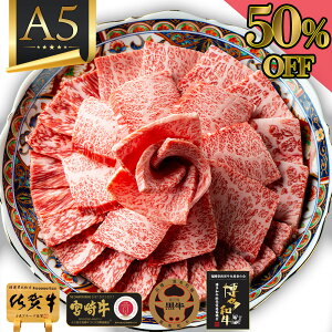 _X[p[SALEIz^ [X ē [X ē Mtg Ε  Mtg  y a A5 ɏ [X ēp 700g ꋍ {苍  z j  oY oYj j 