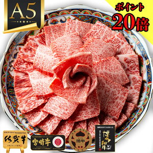 _P20{{20OFFN[|^ Z[ a ēp  Mtg ēy a A5 ɏ ~ ē [X ꋍ {苍 700g z _  yV Ⓚ  hV̓ _  a 