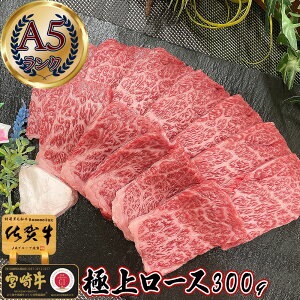 _400gɑʒ^ Mtg Hו ē ō A5 y ɏa[X ēp 300g ꋍ {苍 z Y  Mtg ꖜ~ 䒆 lC  O  [X ăMtg Hו  av[