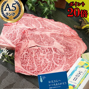 �_300gx2���ɑ��ʒ��I�^ ���̓� �M�t�g �Z�[�� �� �� �v���[���g�y ���ꋍ �{�苍 �a�� A5 ���u���[�X �X�e�[�L 2�� �v500g �z���̓��M�t�g ���� �O���� ���� ���j�� 1���~�ȉ� �����O���� �a���� 