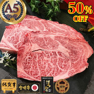 _X[p[SALEI50%OFF^  Mtg Xe[L y a A5 Xe[L u[X 250g x 2 v 500g ꋍ {苍  z j oY Ε yV ~Mtg ̂ Hi Mtg ΕMt