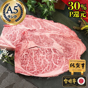_30PҌ{15OFFN[|^ Mtg  O Xe[L [X  Xe[L y ꋍ {苍 јa A5 u[X ~ Xe[L ō 500g z j 1~ Mtg a v[
