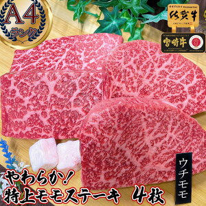 _10OFFN[|{1kgɑ呝ʒ^ a Y   Ԑg Xe[L Mtg y  A4 - A5 a Xe[L  4 ꋍ {苍 zj  Ԑg јa Ԑg _ {  1