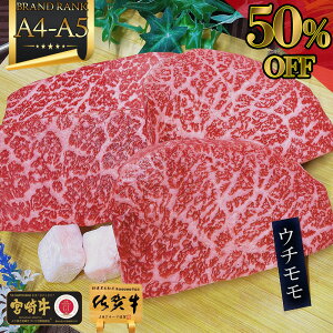 _50%OFF^ z Z[ a  Xe[L Mtg y  A4 - A5 a Xe[L  4 ꋍ {苍 zhV̓ v[g Ԑg Xe[L Ԑg јa  {  1~
