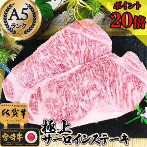 _15%OFFN[|{I500gɑʒ^  Mtg Xe[L a A5 y T[C Xe[L 2 ꋍ {苍 400gz  јa Xe[L Mtg  Z[ j O  