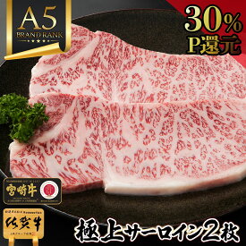 ＼30％P還元／ 牛 国産 和牛 A5 【 サーロイン ステーキ 2枚 佐賀牛 宮崎牛 400g】高級肉 牛肉 黒毛和牛 ステーキ肉 ギフト お祝い 引っ越し 祝い グリル 松坂牛 肉 冷凍 近江牛 飛騨牛 神戸牛 プレゼント ブランド牛 焼肉 高級 お返し 五千円 一万円 お中元