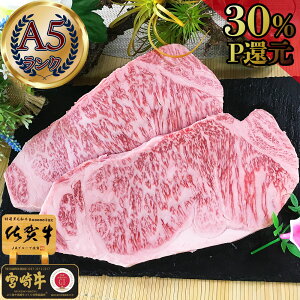 _25PҌ{I500gɑʒ^  Mtg Xe[L a A5 y T[C Xe[L 2 ꋍ {苍 400gz  јa Xe[L Mtg  Z[ j O  Ⓚ 