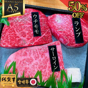 _X[p[SALEIz^ a Xe[L Ⓚ Zbg y A5N Xe[L Hה I3 550g ꋍ {苍  z vXe[L T[CXe[L Ԑg Ԃ Ε Mtg 